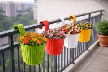 Sleek charcoal planter with Snake Plant