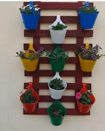 Terracotta pots with succulents at golden hour